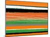 Orange and Green Abstract 3-NaxArt-Mounted Art Print