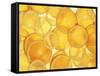 Orange and Lemon Slices-Simon Smith Photography Ltd-Framed Stretched Canvas