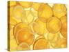 Orange and Lemon Slices-Simon Smith Photography Ltd-Stretched Canvas