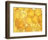 Orange and Lemon Slices-Simon Smith Photography Ltd-Framed Photographic Print