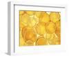 Orange and Lemon Slices-Simon Smith Photography Ltd-Framed Photographic Print