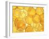 Orange and Lemon Slices-Simon Smith Photography Ltd-Framed Photographic Print