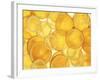 Orange and Lemon Slices-Simon Smith Photography Ltd-Framed Photographic Print