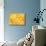 Orange and Lemon Slices-Simon Smith Photography Ltd-Mounted Photographic Print displayed on a wall