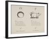 Orange and Pig Illustrations and Verses From Nonsense Alphabets Drawn and Written by Edward Lear.-Edward Lear-Framed Giclee Print