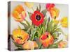Orange and Red Tulips-Christopher Ryland-Stretched Canvas
