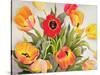 Orange and Red Tulips-Christopher Ryland-Stretched Canvas