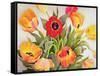 Orange and Red Tulips-Christopher Ryland-Framed Stretched Canvas