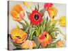 Orange and Red Tulips-Christopher Ryland-Stretched Canvas