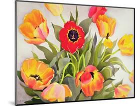 Orange and Red Tulips-Christopher Ryland-Mounted Giclee Print