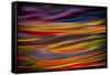 Orange and Red-Ursula Abresch-Framed Stretched Canvas