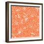 Orange and White Lineart Flowers Seamless Pattern Background-Oksancia-Framed Art Print