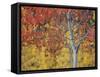 Orange and Yellow Aspen Leaves, White River National Forest, Colorado, United States of America-James Hager-Framed Stretched Canvas