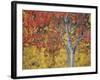Orange and Yellow Aspen Leaves, White River National Forest, Colorado, United States of America-James Hager-Framed Photographic Print
