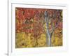 Orange and Yellow Aspen Leaves, White River National Forest, Colorado, United States of America-James Hager-Framed Photographic Print