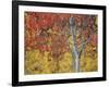 Orange and Yellow Aspen Leaves, White River National Forest, Colorado, United States of America-James Hager-Framed Photographic Print