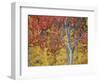 Orange and Yellow Aspen Leaves, White River National Forest, Colorado, United States of America-James Hager-Framed Photographic Print