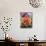 Orange and Yellow Orchid-Darrell Gulin-Mounted Photographic Print displayed on a wall