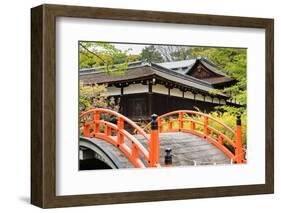 Orange Arched Bridge of Japanese Temple Garden in Shimogamo-Jinja, Kyoto, Japan-elwynn-Framed Photographic Print