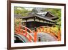 Orange Arched Bridge of Japanese Temple Garden in Shimogamo-Jinja, Kyoto, Japan-elwynn-Framed Photographic Print