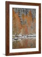 Orange Aspens in the Fall Among Evergreens Covered with Snow at a Lake-James Hager-Framed Photographic Print