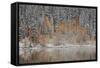 Orange Aspens in the Fall Among Evergreens Covered with Snow at a Lake-James Hager-Framed Stretched Canvas