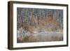 Orange Aspens in the Fall Among Evergreens Covered with Snow at a Lake-James Hager-Framed Photographic Print