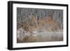 Orange Aspens in the Fall Among Evergreens Covered with Snow at a Lake-James Hager-Framed Photographic Print