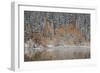 Orange Aspens in the Fall Among Evergreens Covered with Snow at a Lake-James Hager-Framed Photographic Print