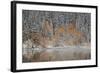 Orange Aspens in the Fall Among Evergreens Covered with Snow at a Lake-James Hager-Framed Photographic Print