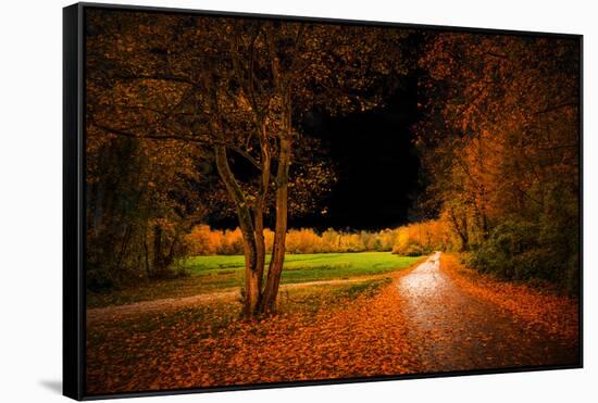 Orange Autumn-Philippe Saint-Laudy-Framed Stretched Canvas