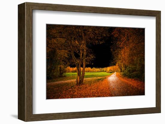 Orange Autumn-Philippe Saint-Laudy-Framed Photographic Print