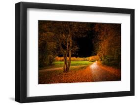 Orange Autumn-Philippe Saint-Laudy-Framed Photographic Print