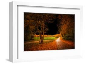 Orange Autumn-Philippe Saint-Laudy-Framed Photographic Print