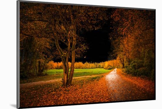 Orange Autumn-Philippe Saint-Laudy-Mounted Photographic Print