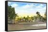 Orange Avenue, Coronado, California-null-Framed Stretched Canvas