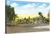 Orange Avenue, Coronado, California-null-Stretched Canvas