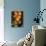 Orange Basket-Nicole Katano-Mounted Photo displayed on a wall