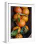 Orange Basket-Nicole Katano-Framed Photo