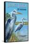 Orange Beach, Alabama - Blue Heron-Lantern Press-Framed Stretched Canvas