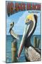 Orange Beach, Alabama - Brown Pelican-Lantern Press-Mounted Art Print