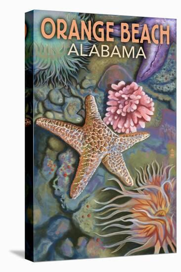 Orange Beach, Alabama - Tidepools-Lantern Press-Stretched Canvas