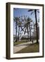 Orange Beach, Alabama, With The Largest Ferris Wheel In The Southeast-Carol Highsmith-Framed Art Print