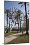 Orange Beach, Alabama, With The Largest Ferris Wheel In The Southeast-Carol Highsmith-Mounted Art Print