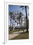 Orange Beach, Alabama, With The Largest Ferris Wheel In The Southeast-Carol Highsmith-Framed Art Print