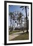 Orange Beach, Alabama, With The Largest Ferris Wheel In The Southeast-Carol Highsmith-Framed Art Print