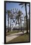 Orange Beach, Alabama, With The Largest Ferris Wheel In The Southeast-Carol Highsmith-Framed Art Print