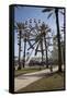 Orange Beach, Alabama, With The Largest Ferris Wheel In The Southeast-Carol Highsmith-Framed Stretched Canvas