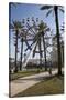 Orange Beach, Alabama, With The Largest Ferris Wheel In The Southeast-Carol Highsmith-Stretched Canvas