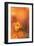 Orange Beauty-Karin Connolly-Framed Art Print